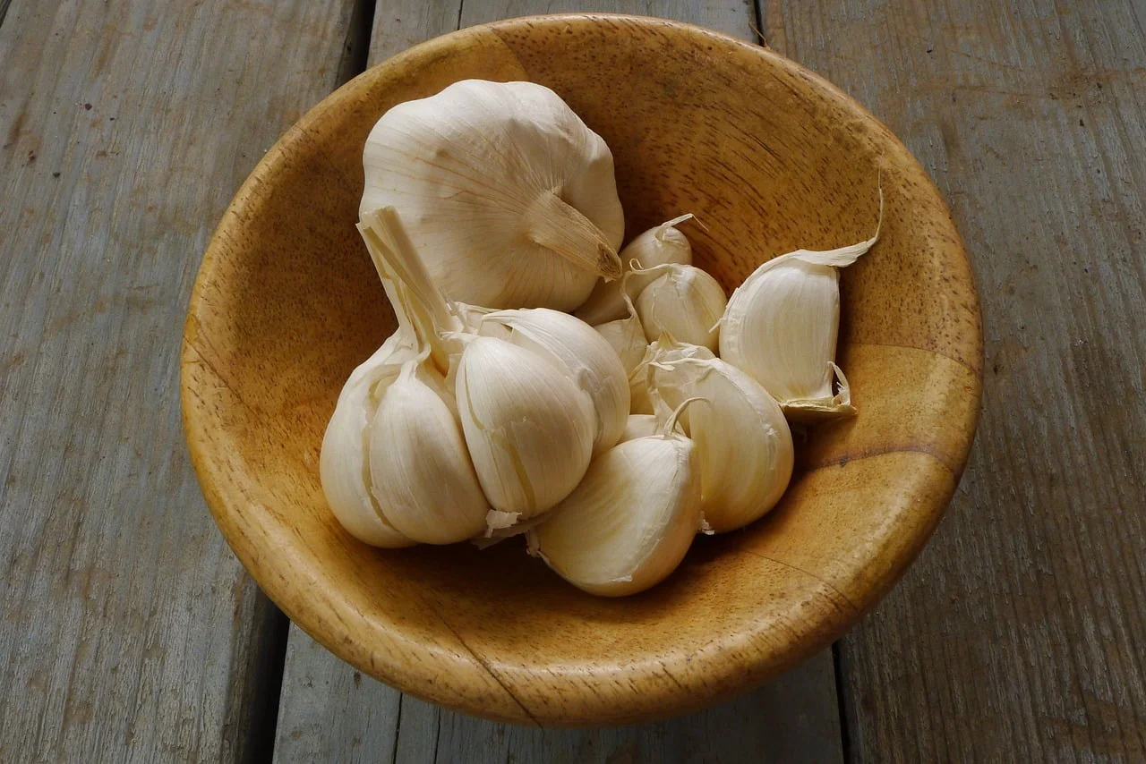 GARLIC