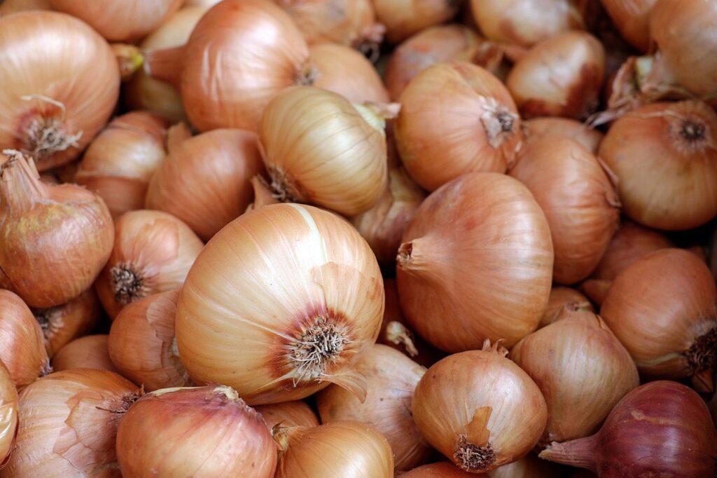 onions vegetables white onions 1397037 1