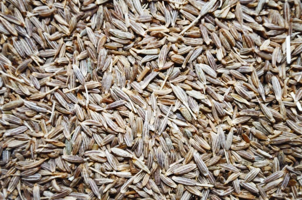 rasca whole cumin pepper 1049551 1