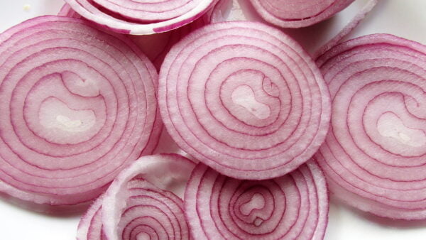 ONION