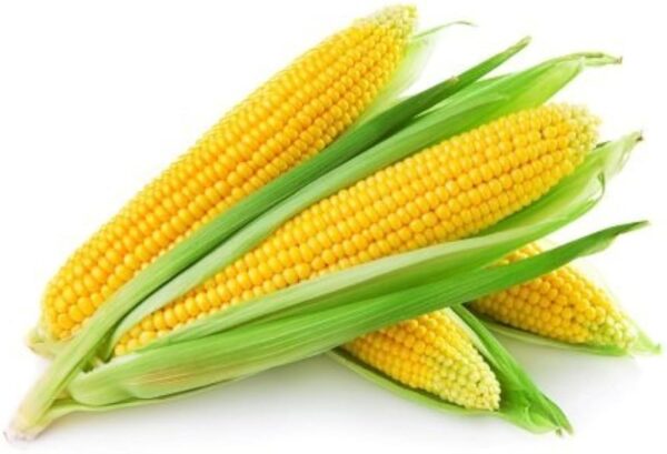 CORN