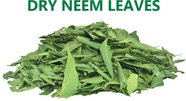 DRIED NEEM LEAVES