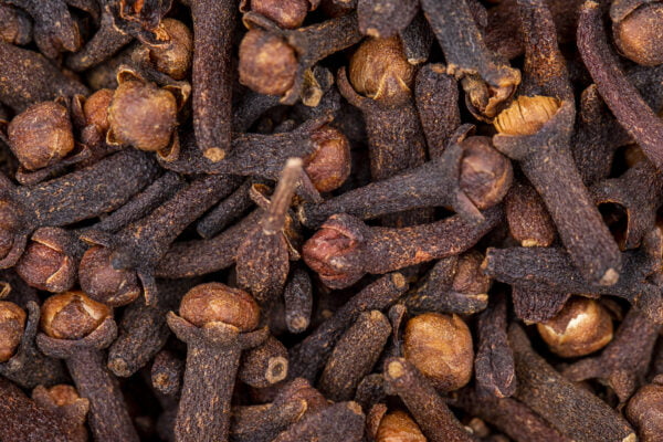 close up view dry organic clove spice scaled